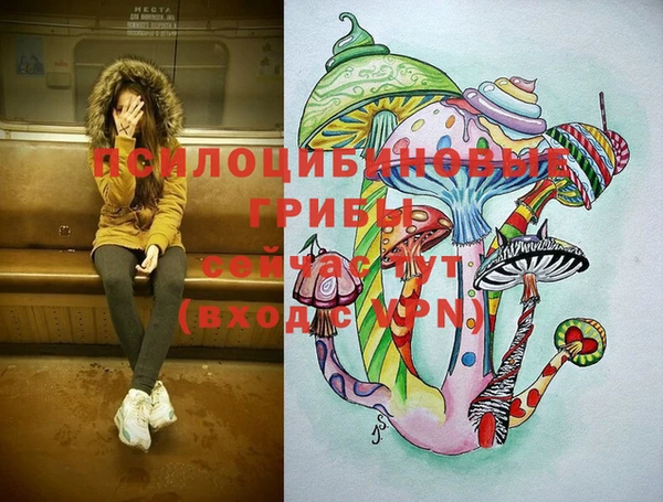 дживик Горнозаводск