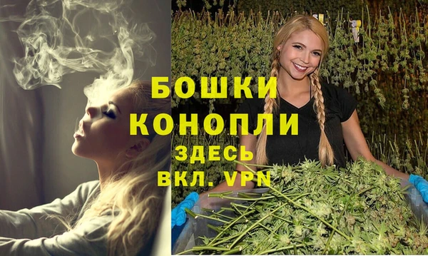 трава Горно-Алтайск