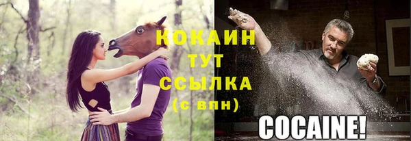 бутират Гусь-Хрустальный