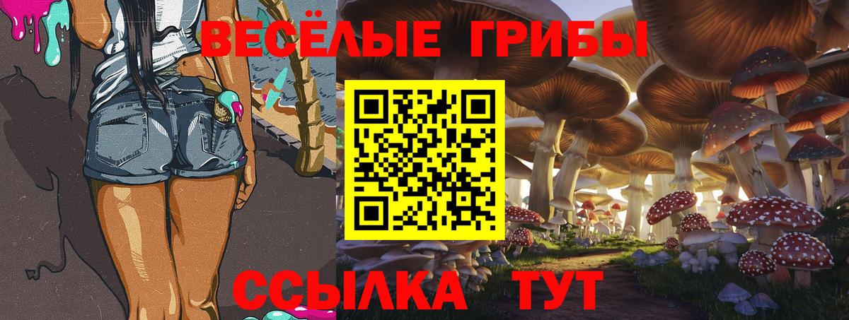 Псилоцибиновые грибы мицелий Гагарин